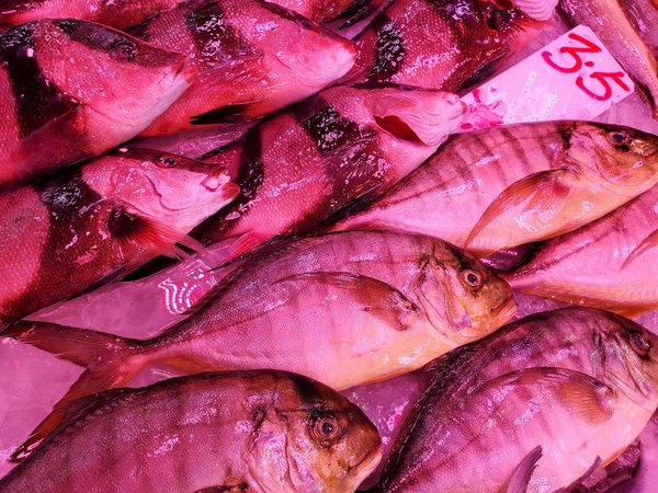 Booster votre santé physique avec les exercices cardiovasculaires